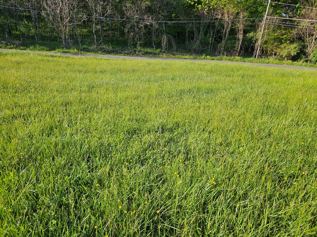 Lot 7e Tranbarger Rd Property Photo 9