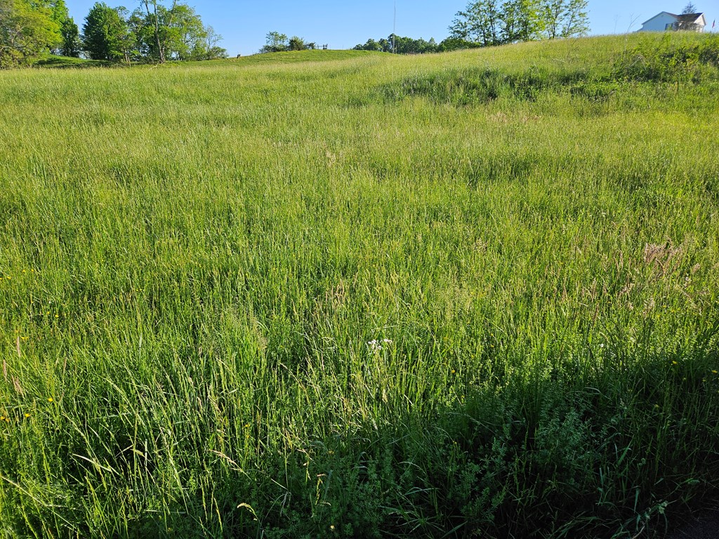 Lot 7e Tranbarger Rd Property Photo 10