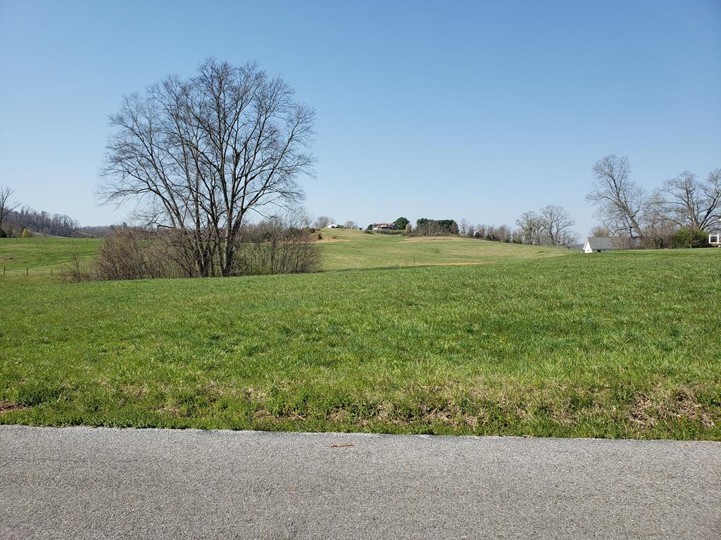 Chateau Lesueur Real Estate Listings Main Image