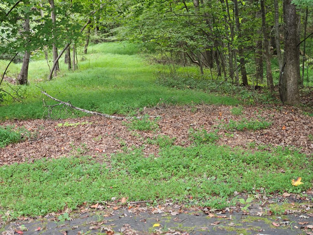 00 Golf Course Road Property Photo 17