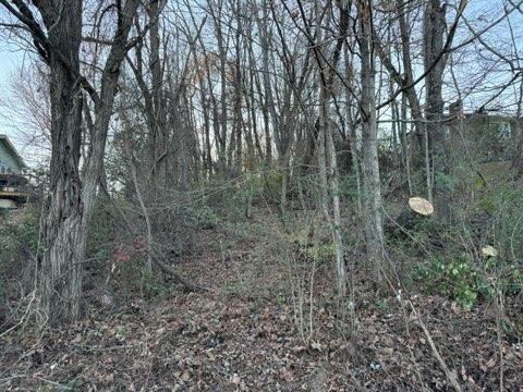 Tbd Briscoe Drive Property Photo 1