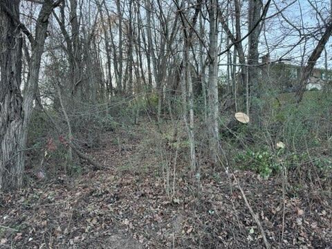 Tbd Briscoe Drive Property Photo 5