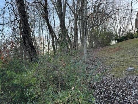 Tbd Briscoe Drive Property Photo 6