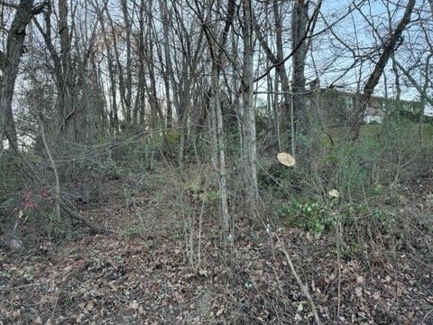 Tbd Briscoe Drive Property Photo 7