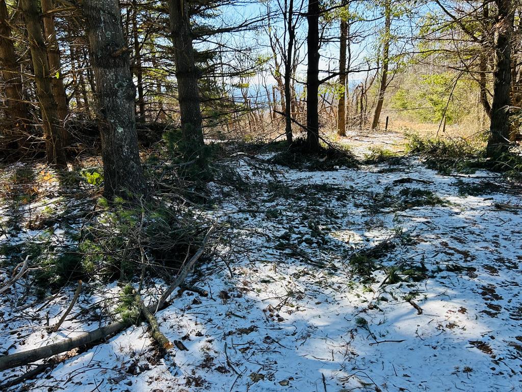 Tbd Keep Away Trail Property Photo 3