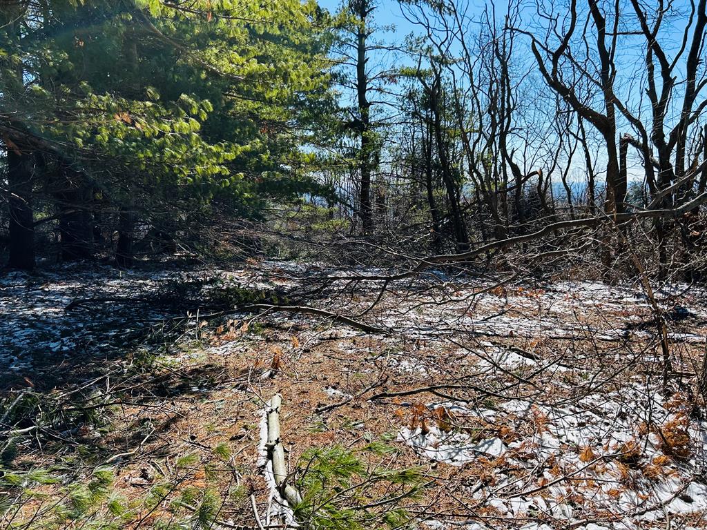 Tbd Keep Away Trail Property Photo 4