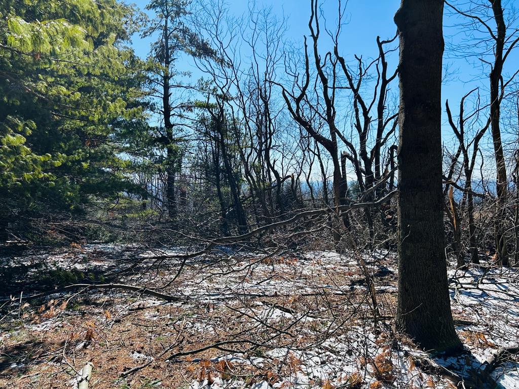 Tbd Keep Away Trail Property Photo 5