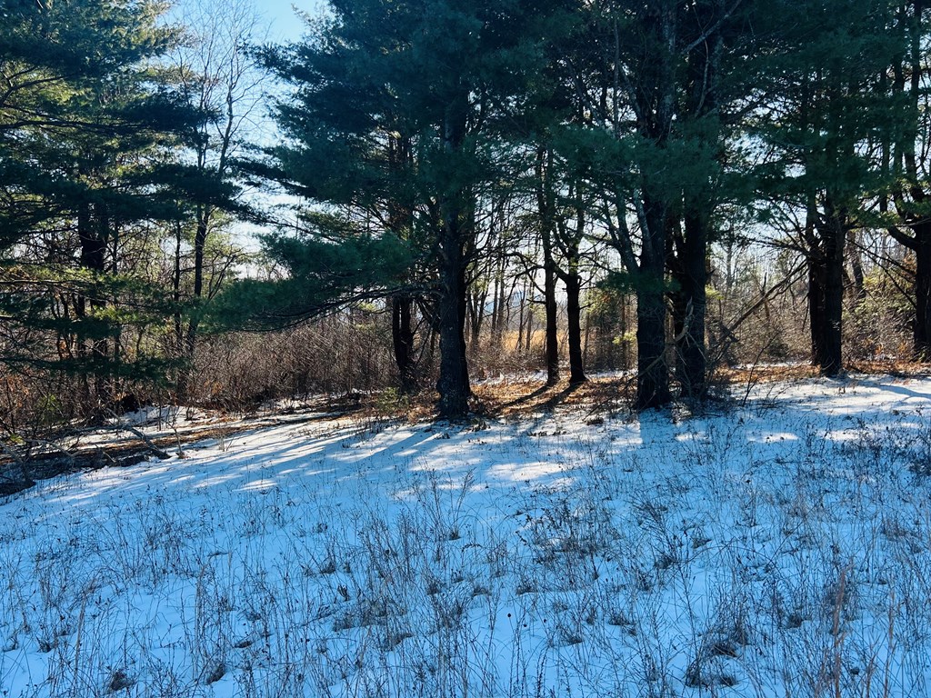 Tbd Keep Away Trail Property Photo 10
