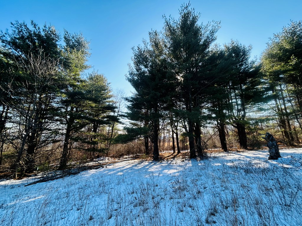 Tbd Keep Away Trail Property Photo 11