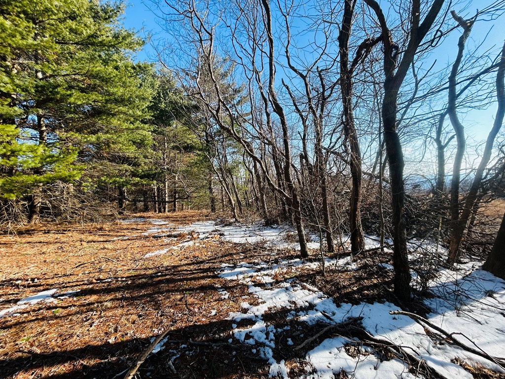 Tbd Keep Away Trail Property Photo 15
