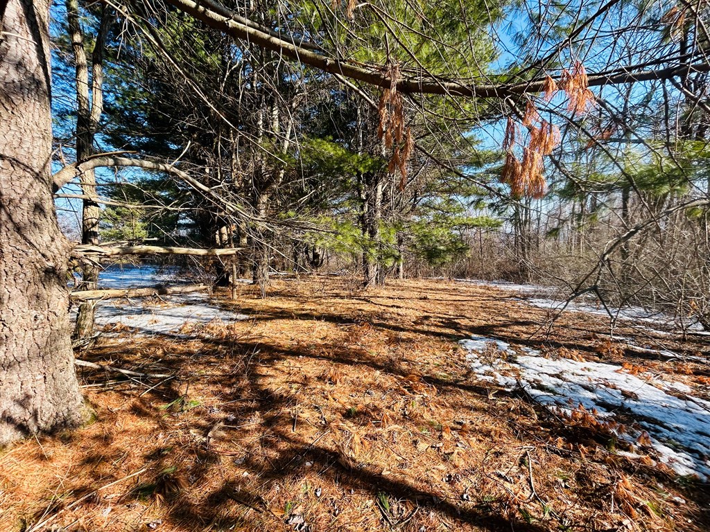 Tbd Keep Away Trail Property Photo 16