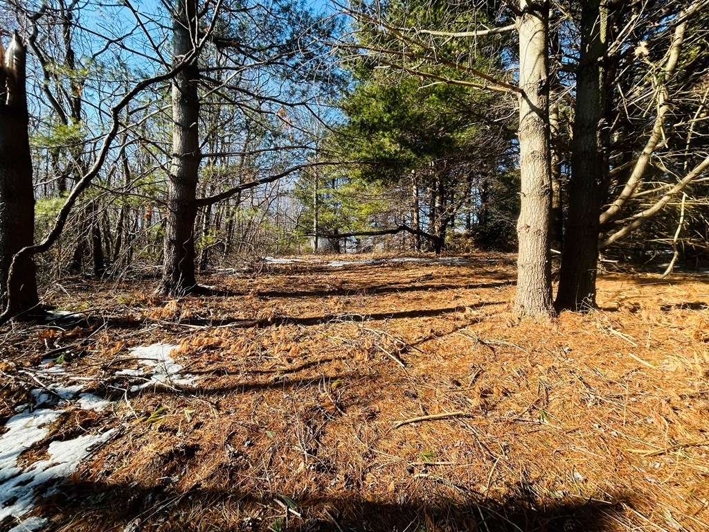 Tbd Keep Away Trail Property Photo 17