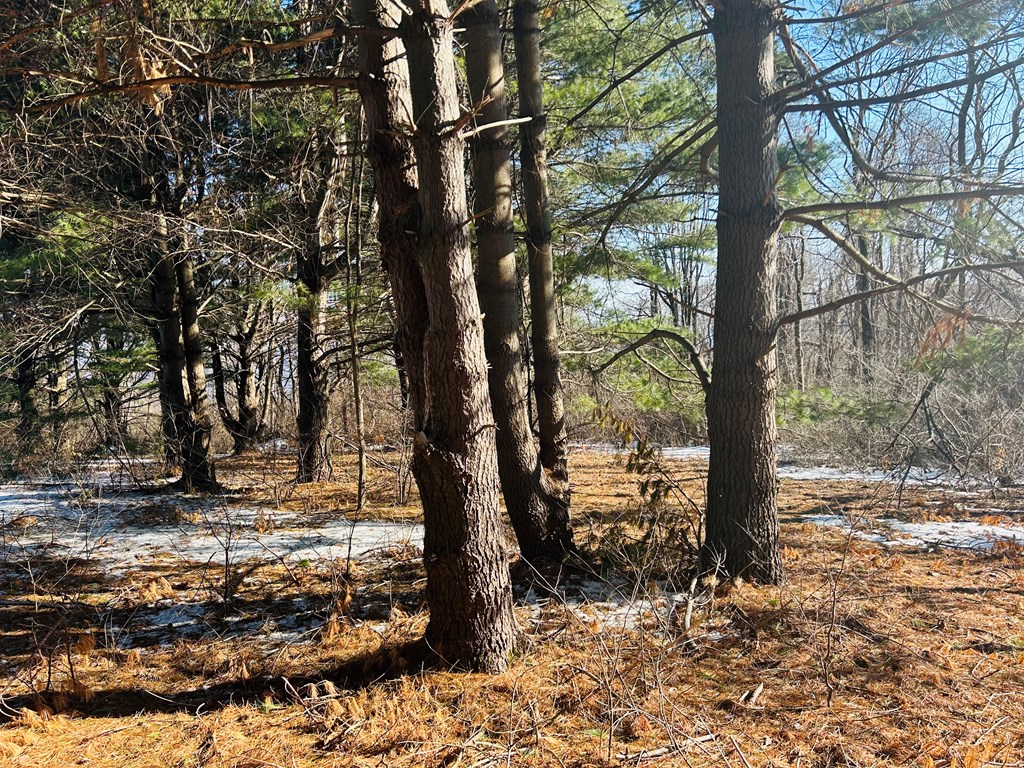 Tbd Keep Away Trail Property Photo 18