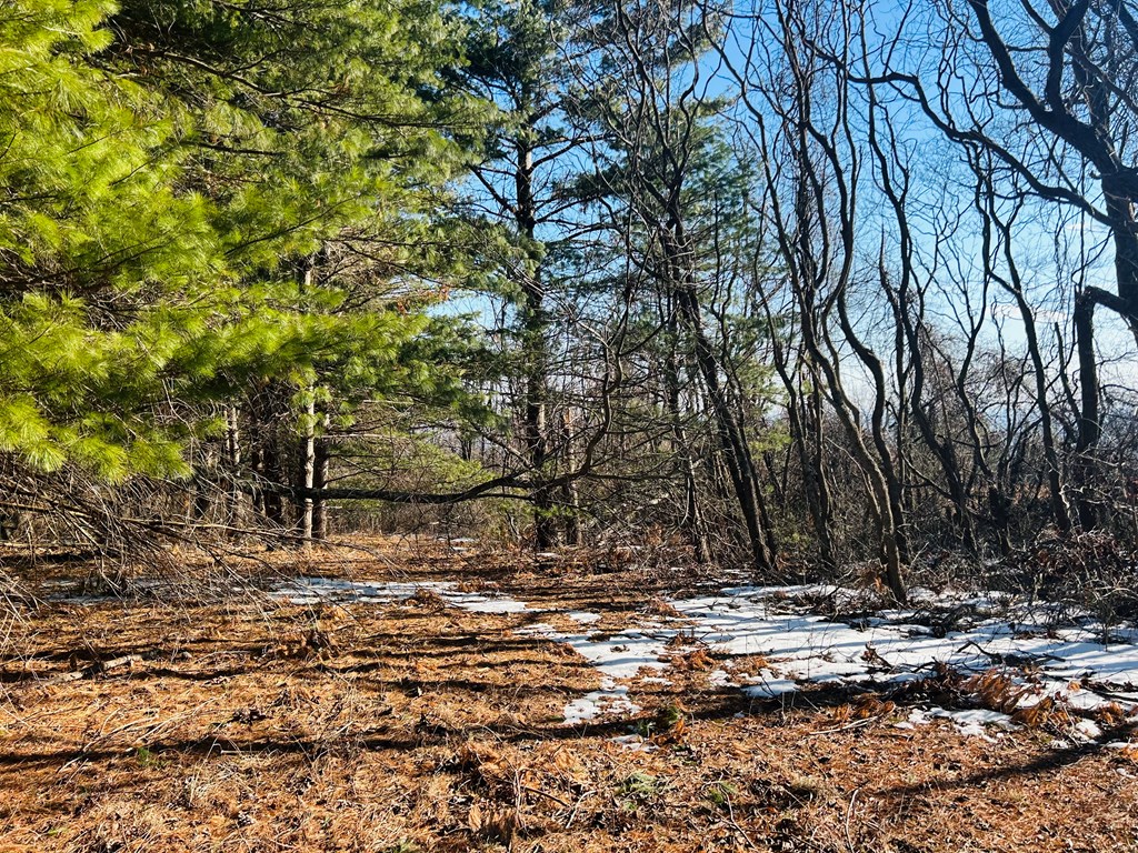 Tbd Keep Away Trail Property Photo 20