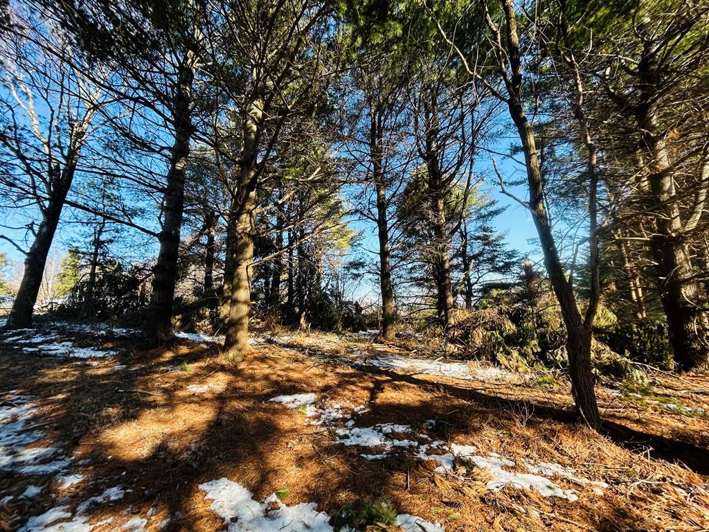 Tbd Keep Away Trail Property Photo 21