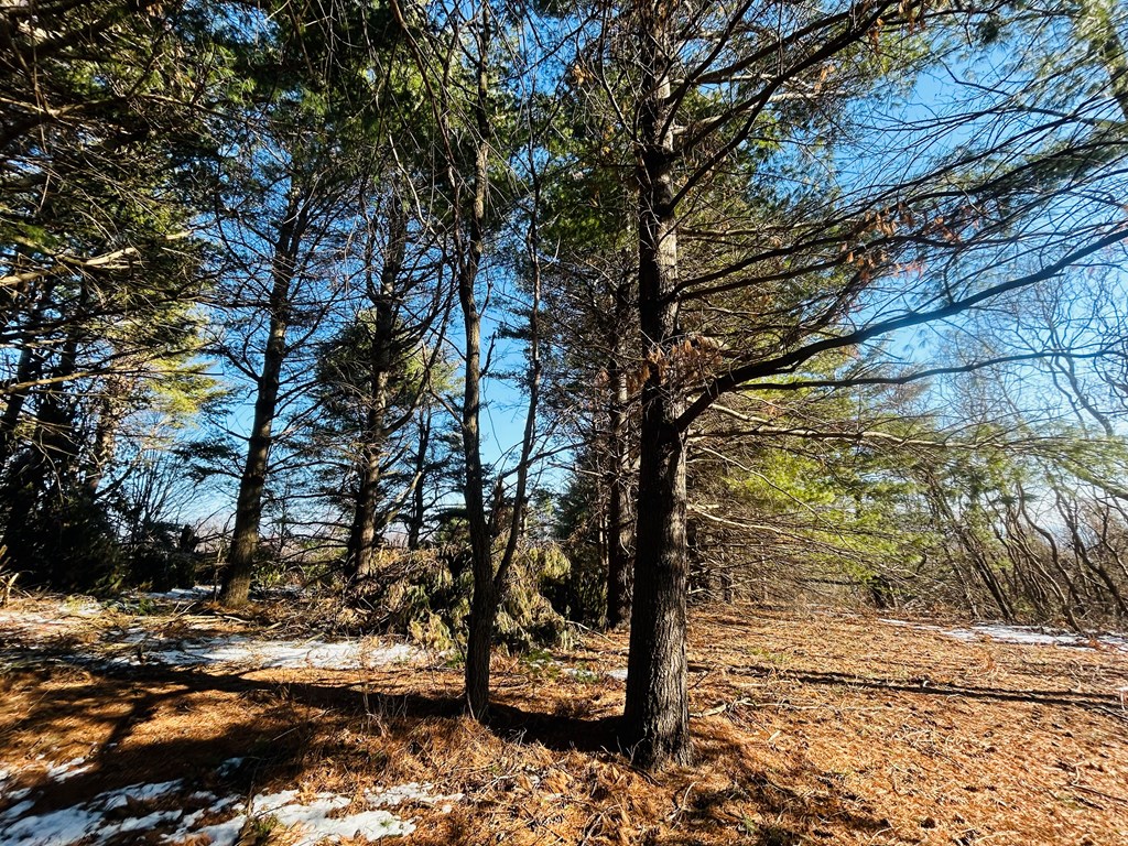 Tbd Keep Away Trail Property Photo 22
