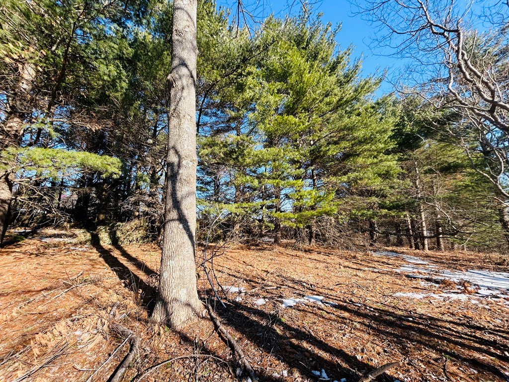 Tbd Keep Away Trail Property Photo 23