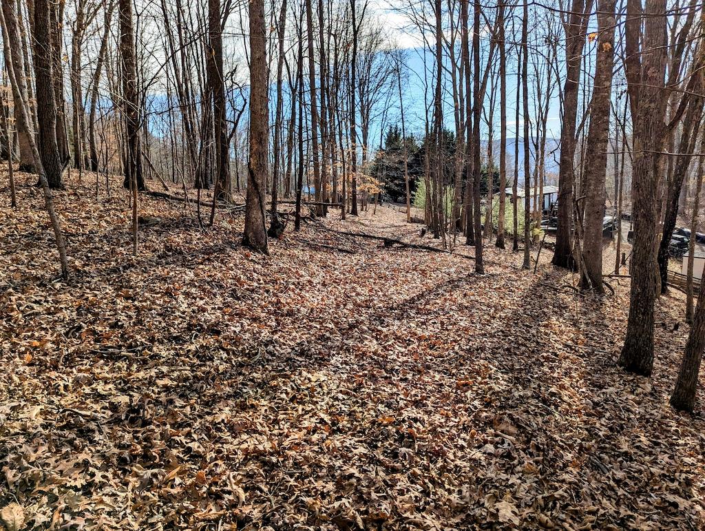 Tbd Irish Mountain Rd Property Photo 1