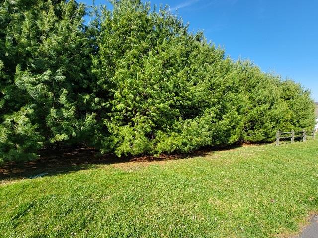 303 Stonebrook Dr Property Photo