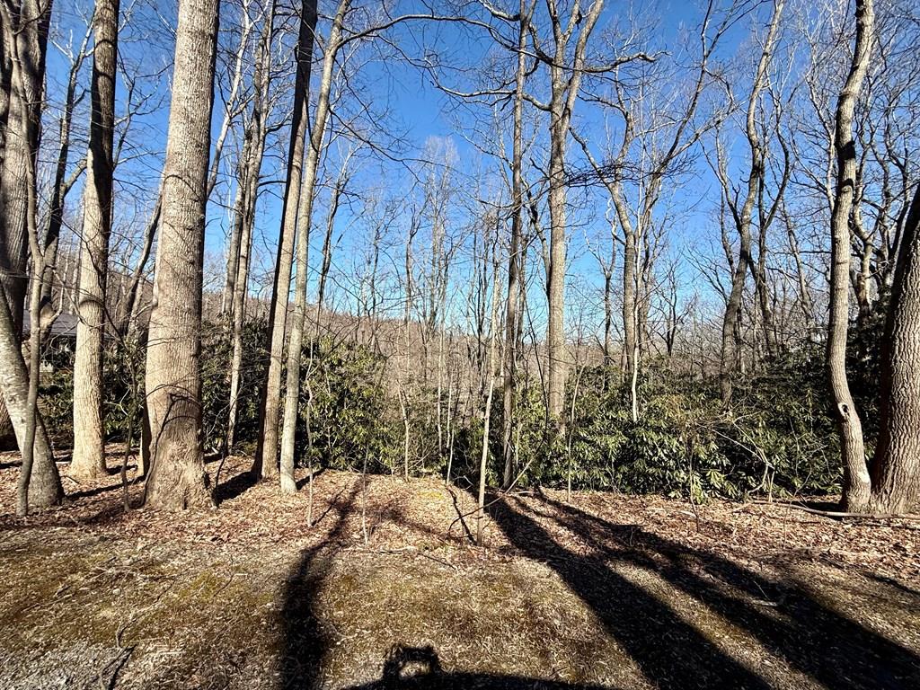 Tbd Crooked White Oak Trail Property Photo