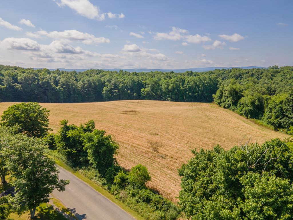 Tbd Hanging Tree Property Photo