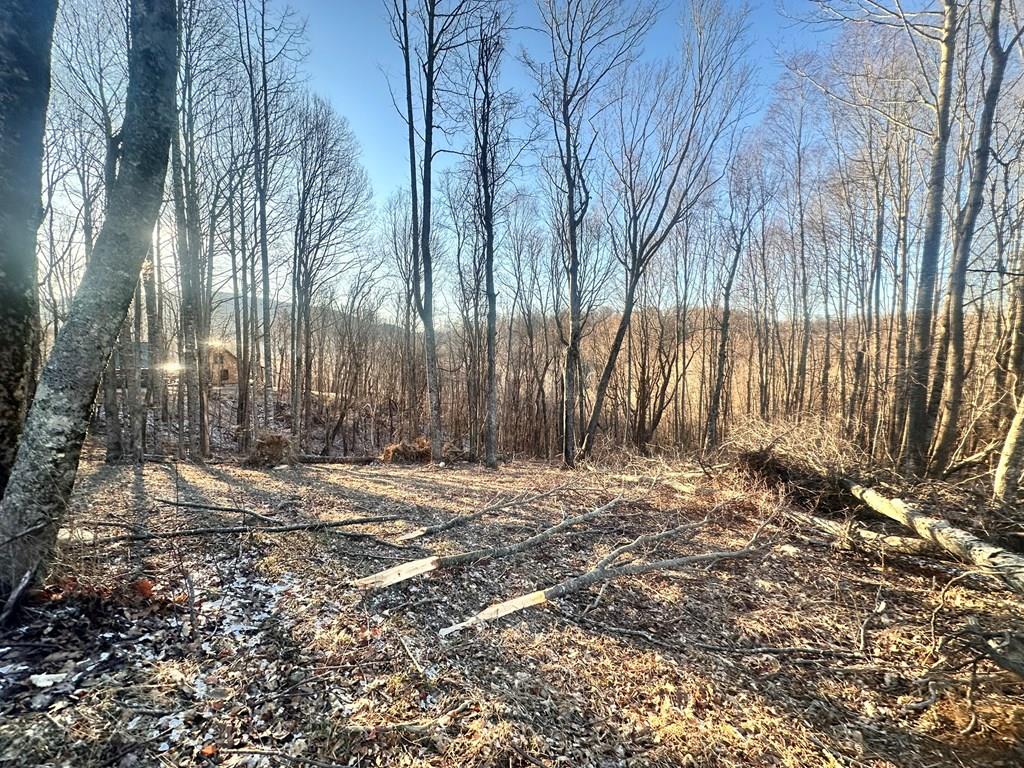 Tbd Hidden Valley Ln Property Photo