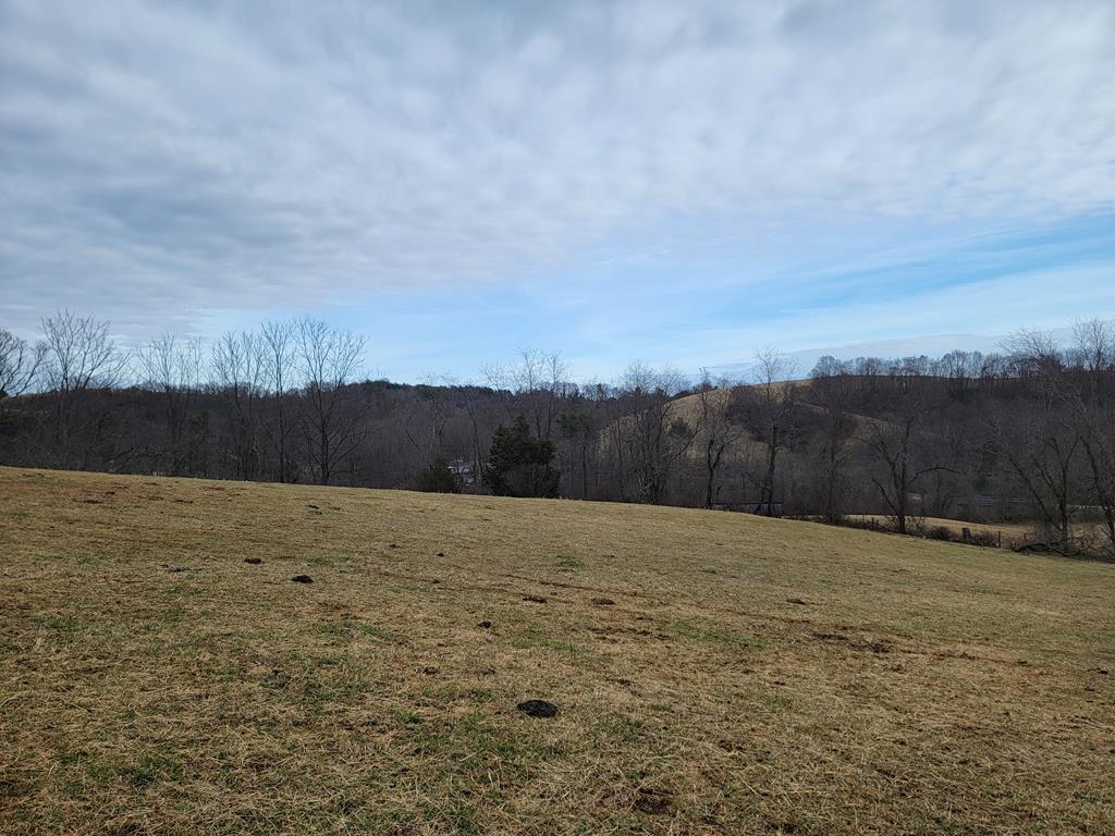 1154 Old Galax Pike Property Photo