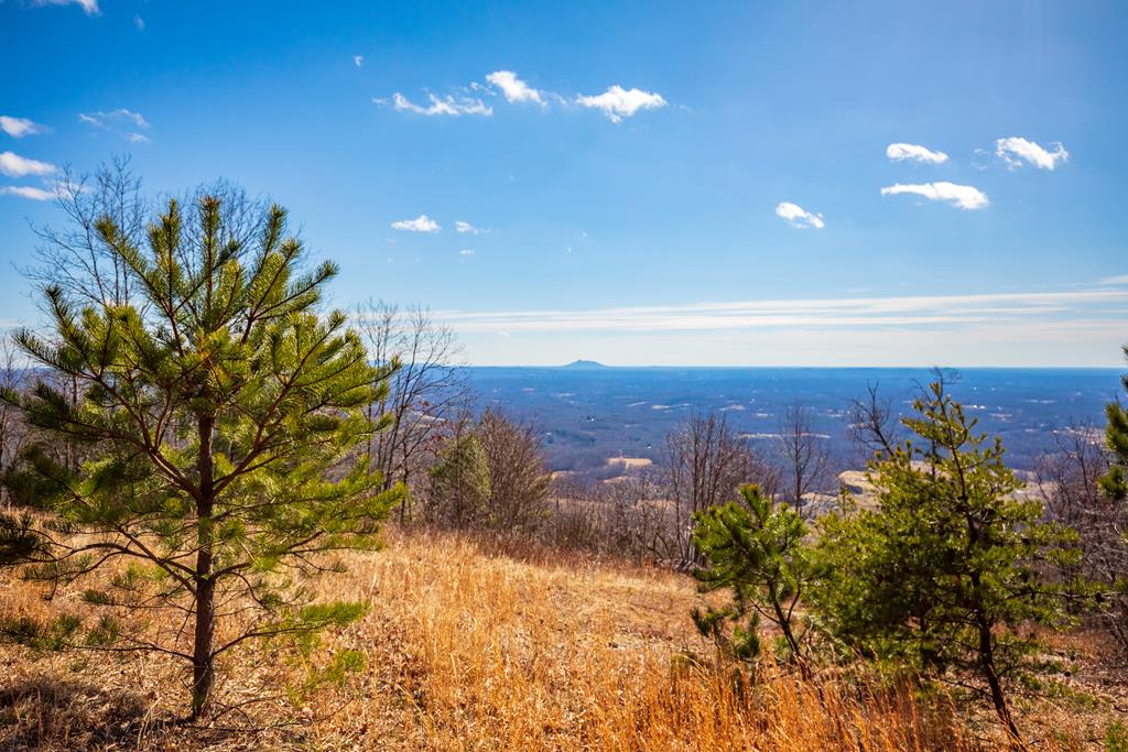 82 Acres Spring Pond Trl Property Photo