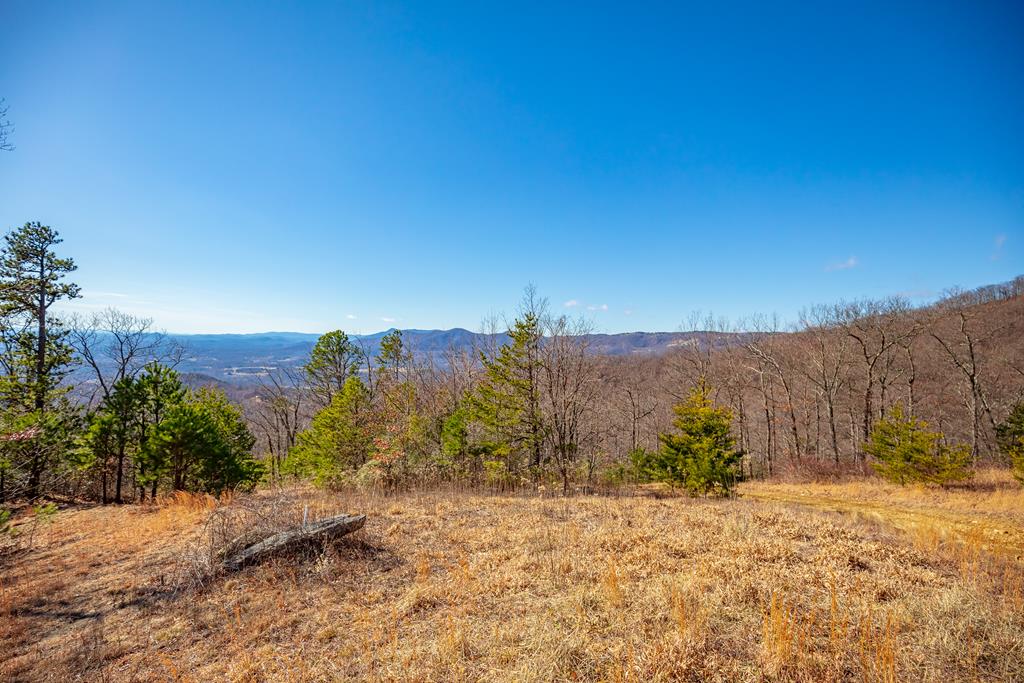 65 Acres Spring Pond Trl Property Photo