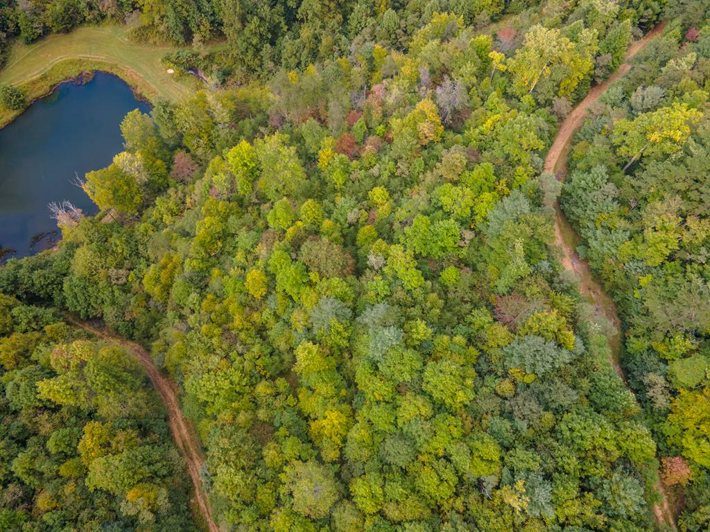 1.6 Acre Starry Nights Dr Property Photo 1