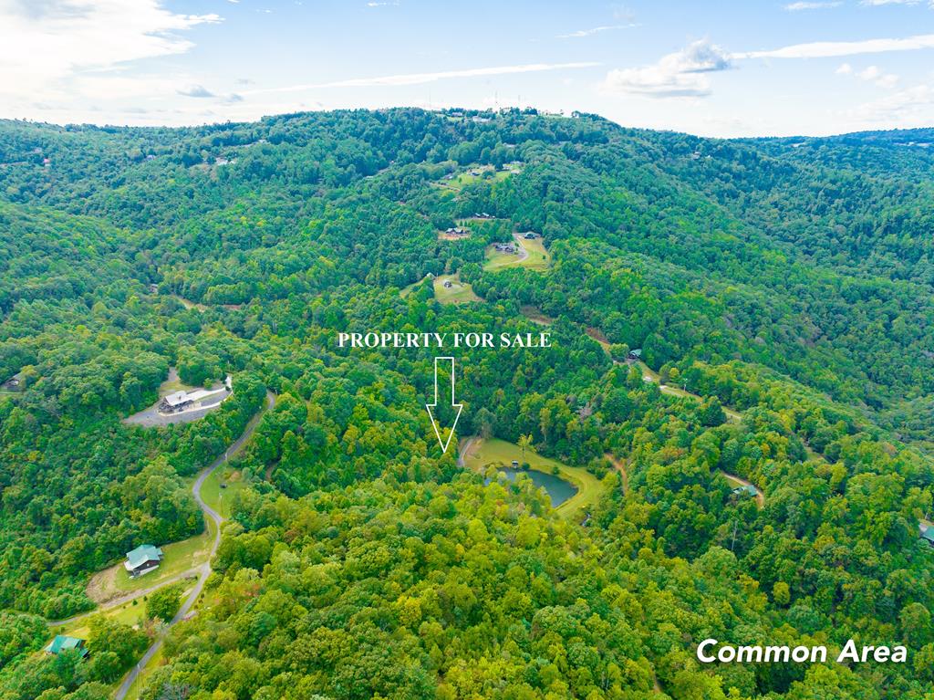 3 Lots Old Pond Trl Property Photo 1