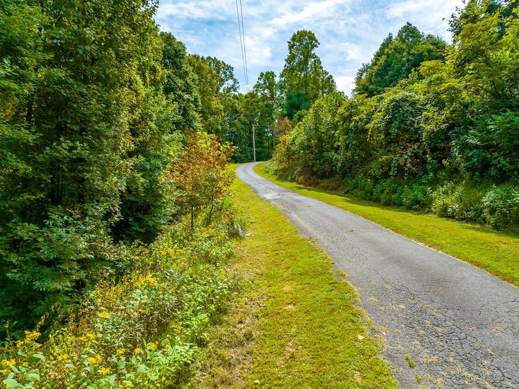 250 Covered Bridge Trl Property Photo 1