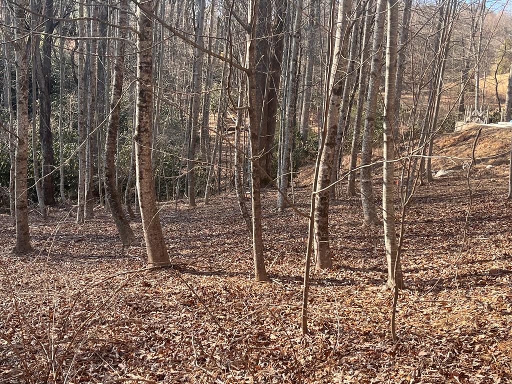 Tbd Brookside Tr Property Photo