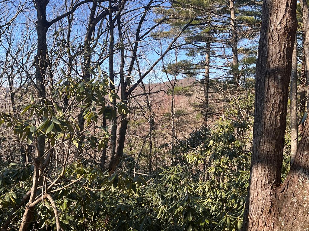 Tbd Rock Ledge Tr Property Photo