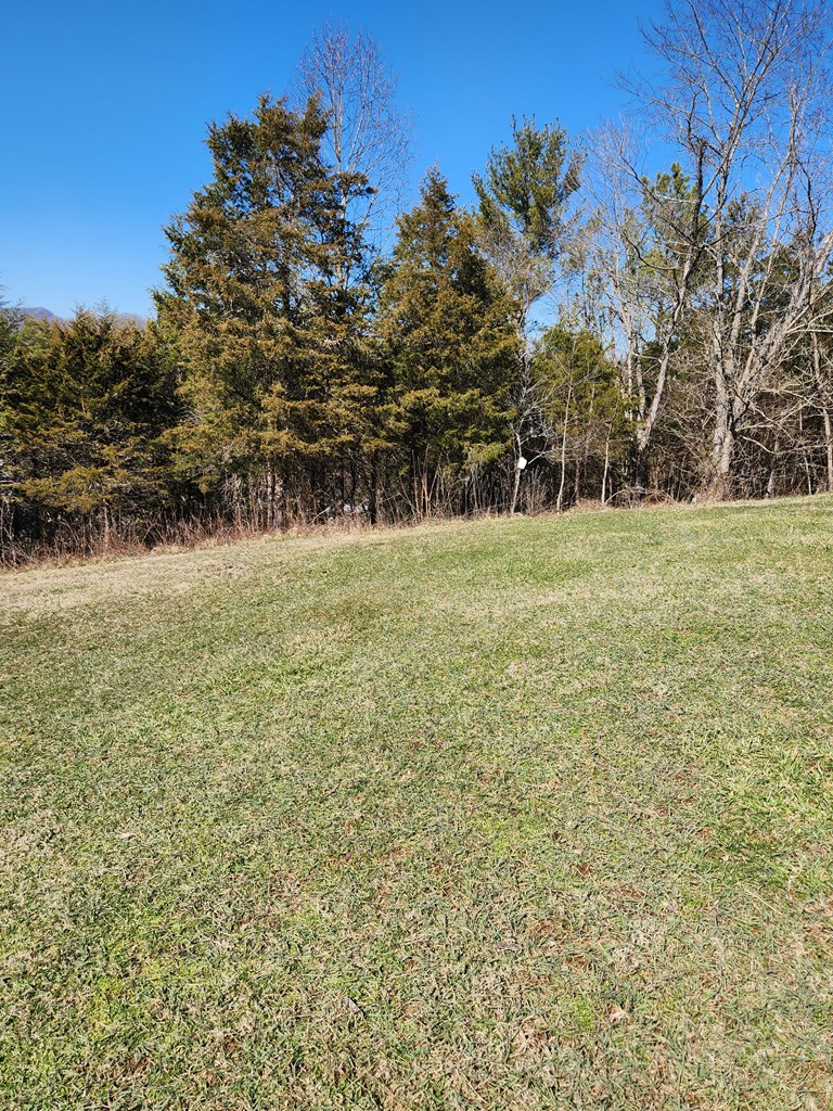 679 Green Acres Property Photo 4