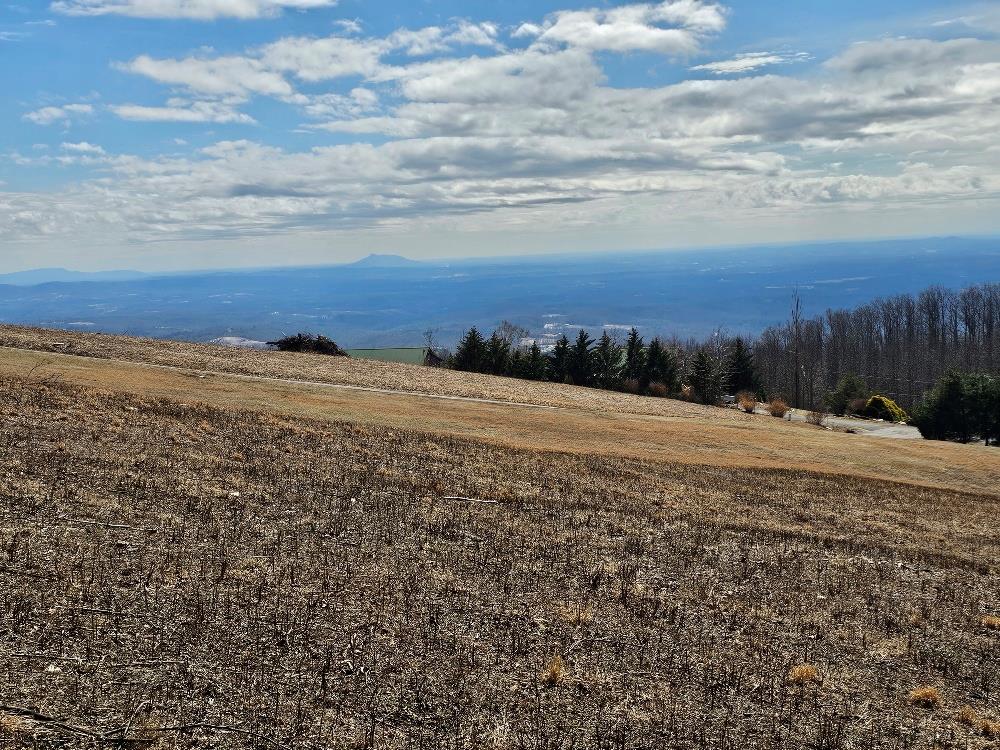 Lot#2 Cabin Ridge Trail Property Photo