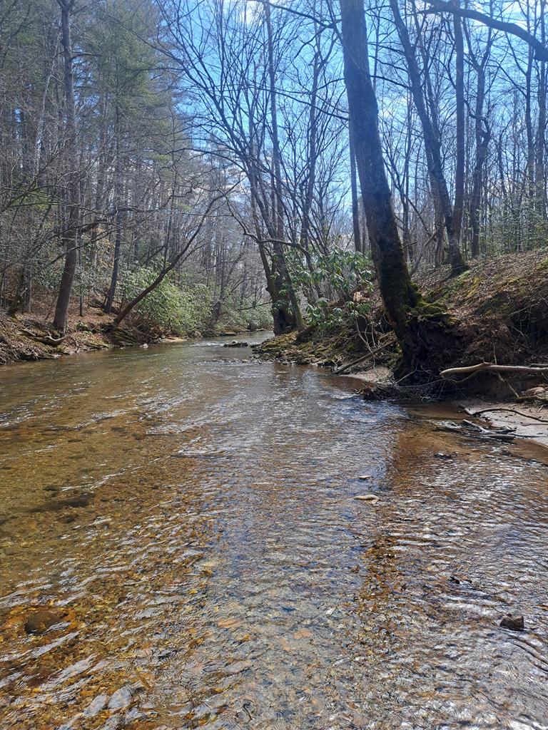 0000 Brushy Fork Rd Property Photo