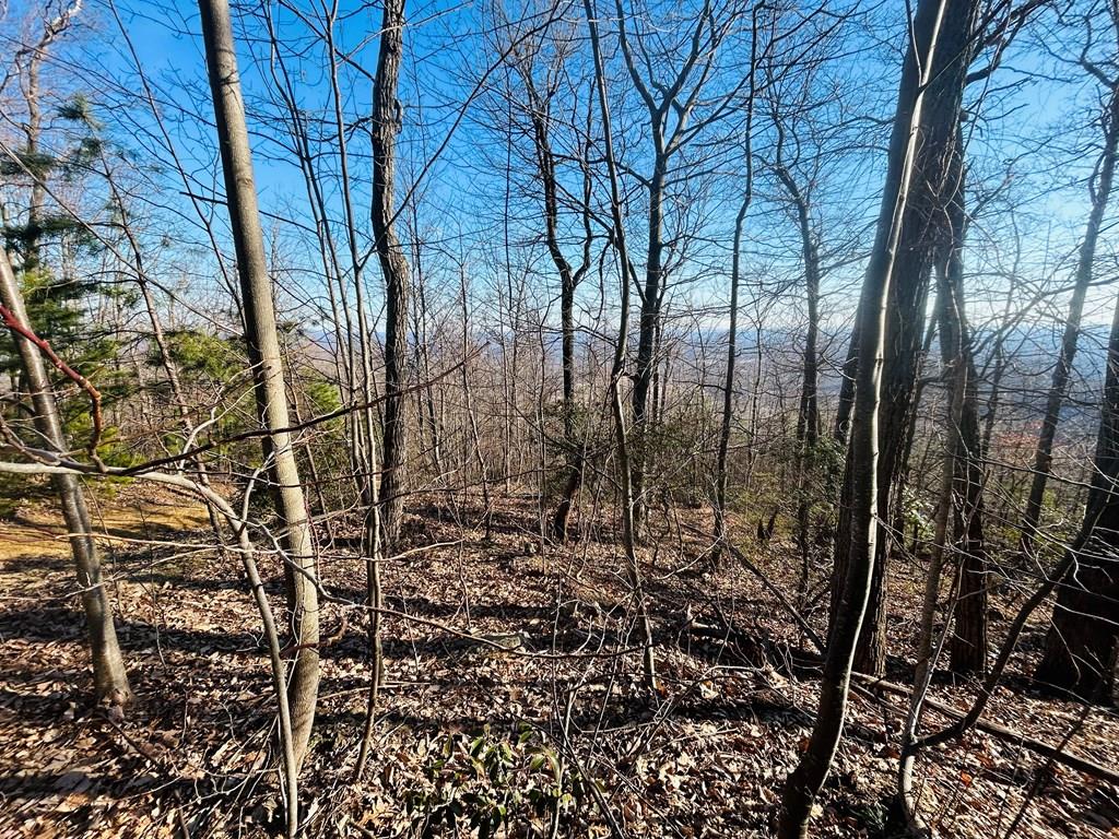 Tbd Reflections Point Trl Property Photo
