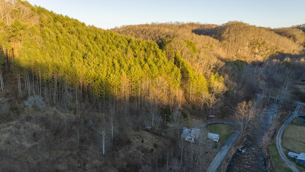 5461 Tumbling Creek Rd Property Photo 10
