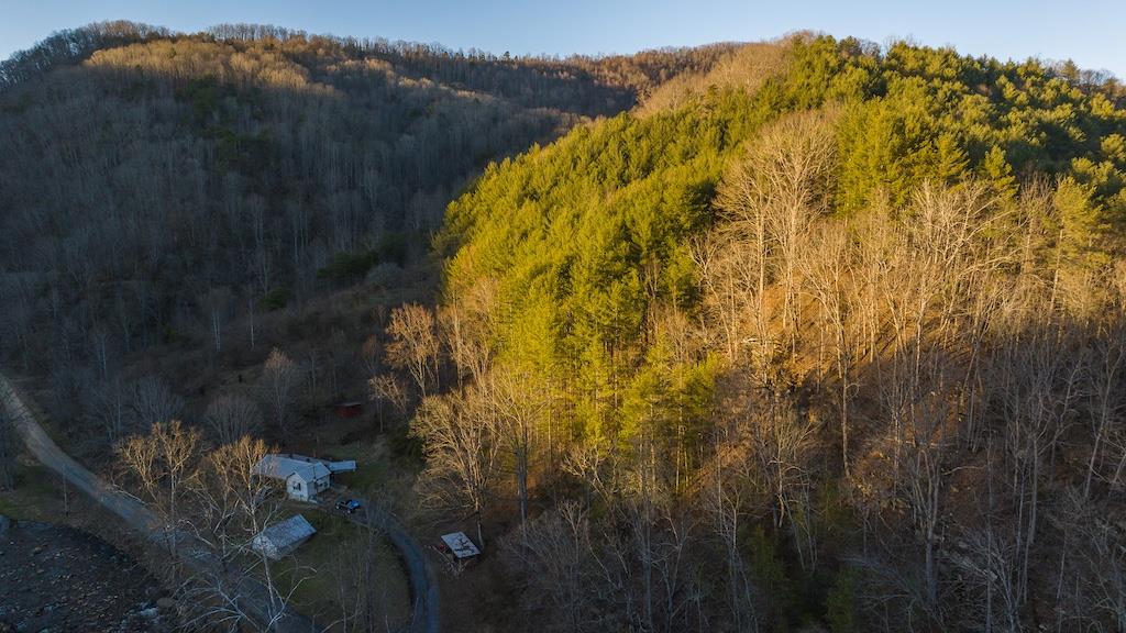 5461 Tumbling Creek Rd Property Photo 15