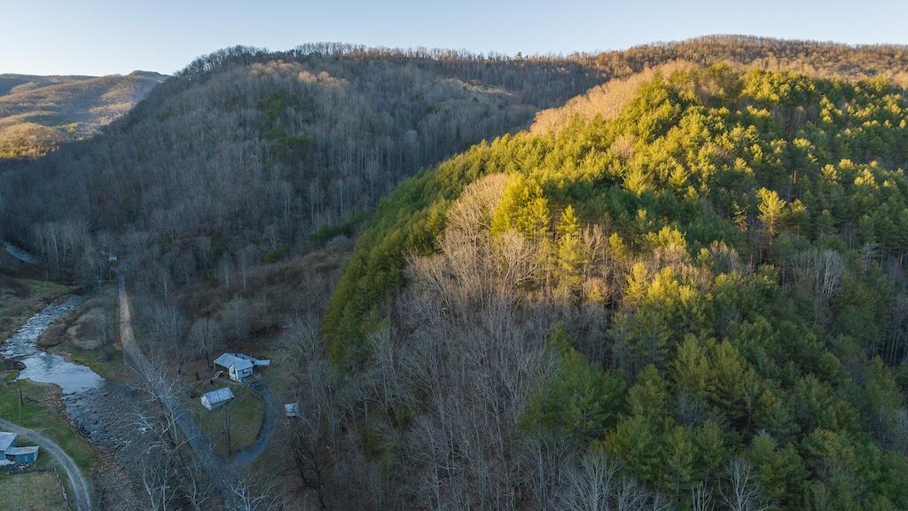 5461 Tumbling Creek Rd Property Photo 16
