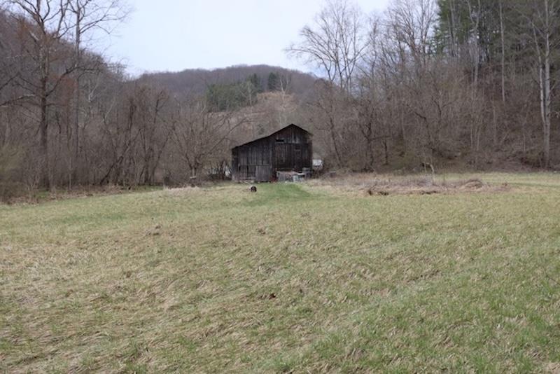 5461 Tumbling Creek Rd Property Photo 40
