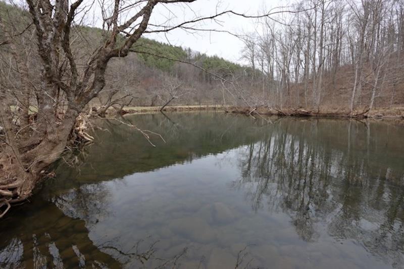5461 Tumbling Creek Rd Property Photo 41