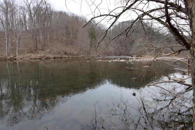 5461 Tumbling Creek Rd Property Photo 42