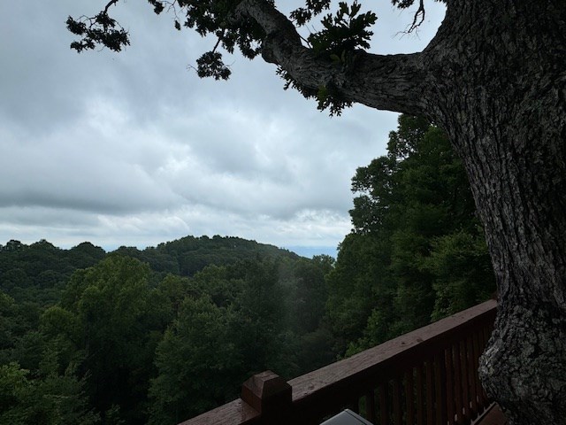 245 Dogwood Tr Property Photo 42
