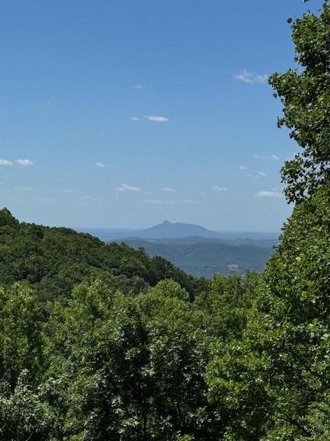 245 Dogwood Tr Property Photo 45