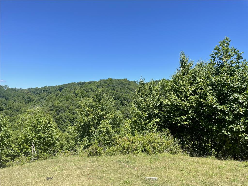 370 Jackie Dye Rd Property Photo