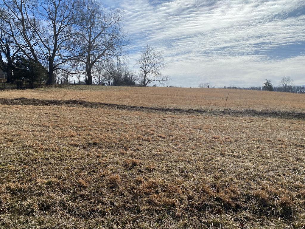0 Sinking Creek (lot 1) Rd. Property Photo