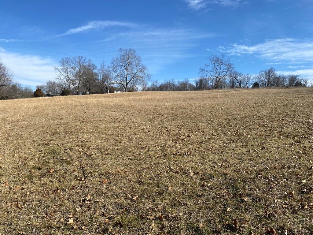 0 Sinking Creek (lot 4) Rd. Property Photo
