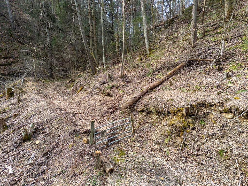 Tbd Cove Creek Property Photo